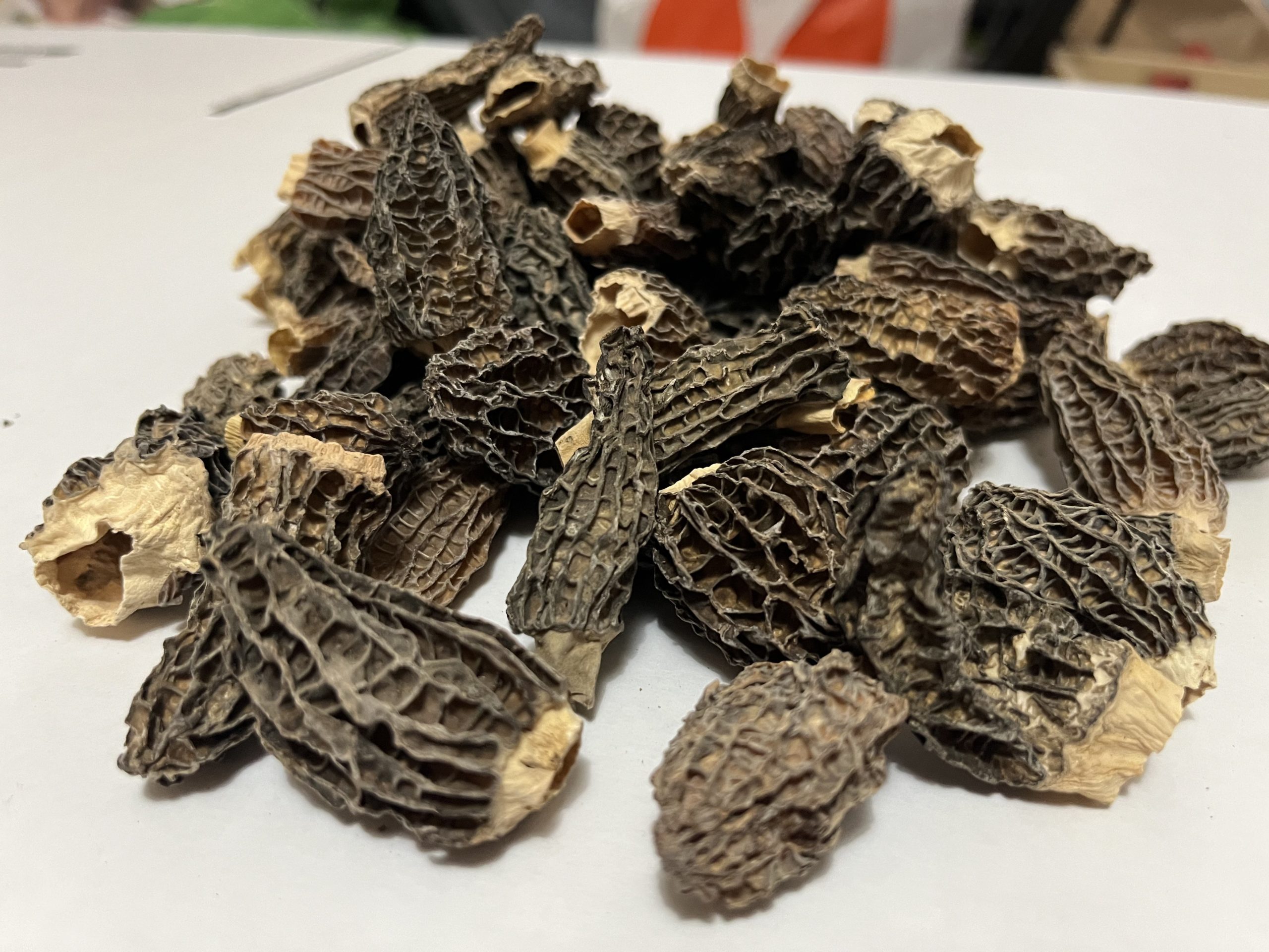 Getrocknete Morcheln
